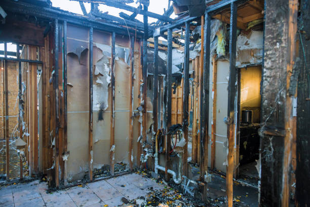 Professional Fire Damage Removal technician working in Seco Mines, TX